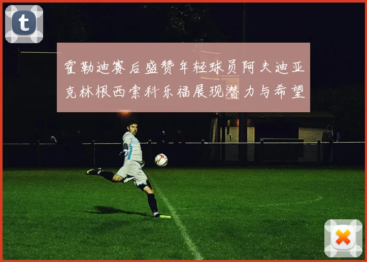霍勒迪赛后盛赞年轻球员阿夫迪亚克林根西索科乐福展现潜力与希望