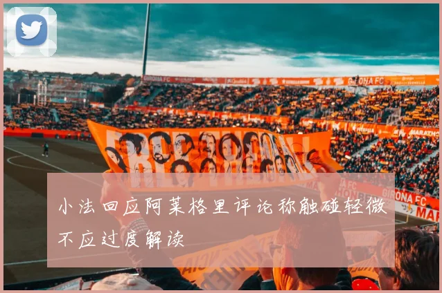 小法回应阿莱格里评论称触碰轻微不应过度解读